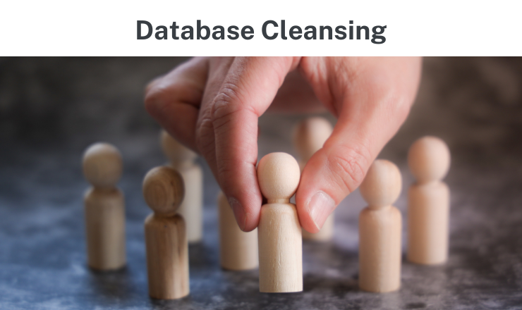 Database Cleansing